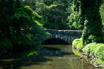 Fototapeta na wymiar An old stone bridge in deep forest landscape. Reflection of the bridge in calm water