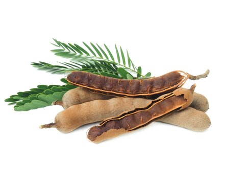 Fresh and perfectly ripe sweet tamarind.  Placed isolated on a white background.