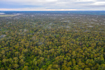 Aerial view of the Borneo rainforest at Klias Forest Reserve, Beaufort Sabah..