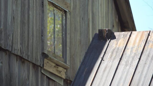 Reflexion of tree in window in the attic of the old house / Focus on roof pinion