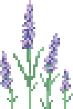 vecter cross stitch made of flower purple