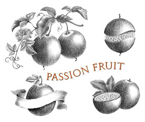 Passion fruit hand draw vintage engraving style black and white clip art