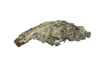 Fototapeta premium dry bark fragments peeling off from the trunk isolated on white background.Selection focus.