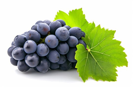 A bunch of grapes, accompanied by a leaf, is displayed.