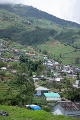 photo portraits of people's house views