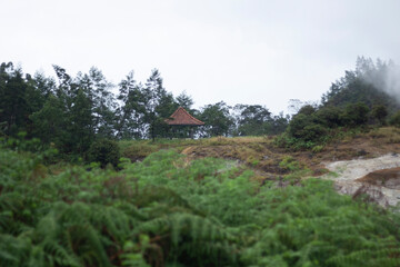 beautiful landscape with a pavilion house