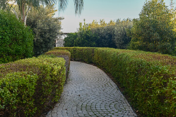 green fence in a residential complex 2