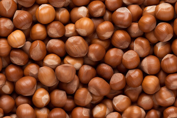 hazelnuts in shell background wall texture pattern seamless