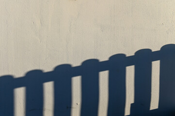 shadow from a hedge on a light wall 2