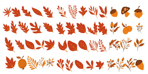 Organic Leaf Autumn Season Graphic Design Element
