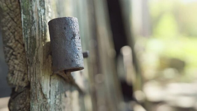 Detached old rusty metal hinge on wood door / Close up