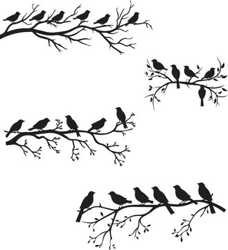 Set of Birds on a tree branch white background 