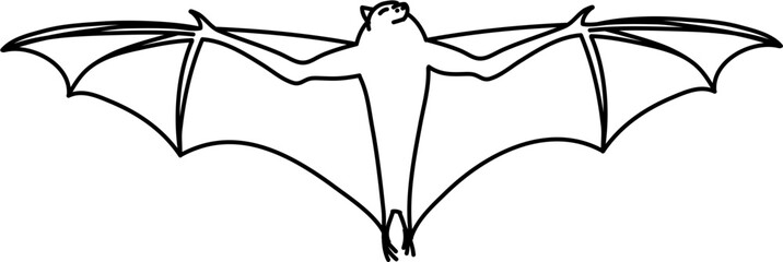 Flying Bat Outline Vector Illustration
