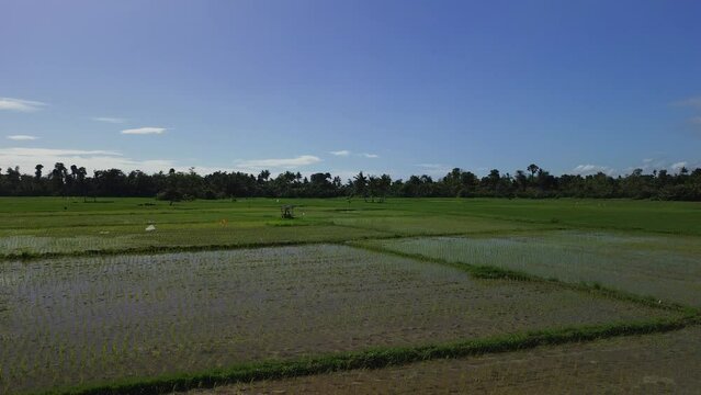 Aerial fottage of a rice fields in the phils.