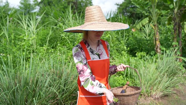 European blond lady picks a small leave from a plant and smelling it while wearing a Thai hat. Following shot