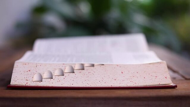 Close-up of turning the pages of an open book using natural light on a natural background.

