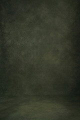 Green Background Studio Portrait Backdrops Photo. Painted Canvas or Muslin Fabric Cloth Studio Backdrop or Background.