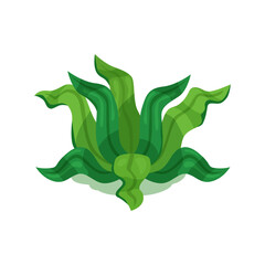 Vector seaweed plant symbol cartoon illustration vector