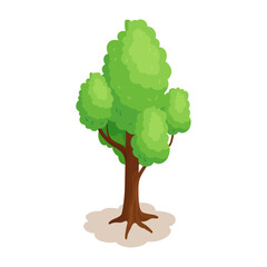Vector tree isolated illustration on white background