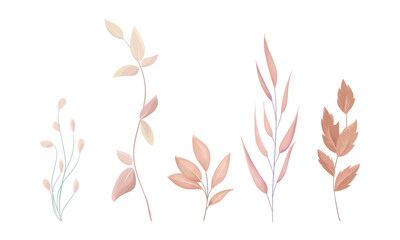 Vector hand drawn watercolor leaves art set