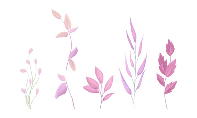 Vector hand drawn watercolor leaves isolated set on white background