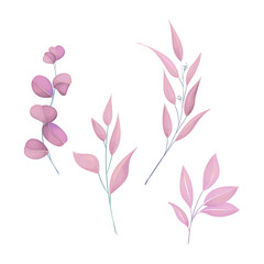 Vector watercolor eucaliptus branches and leaves bouquets illustration