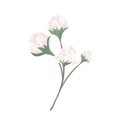 Vector botanical flower design on isolated background