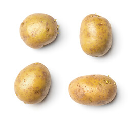 Potato collection isolated on white