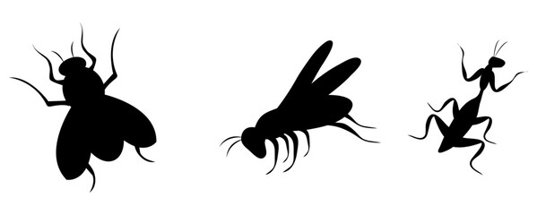 insect silhouette - obrazy, fototapety, plakaty
