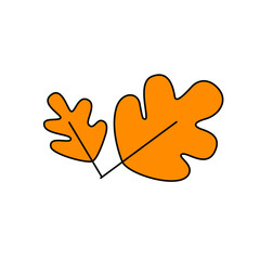 Obraz premium Vector hand drawn autumn leaves collection