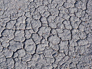 Dried out land at Petrified Forest National Park - Arizona, USA