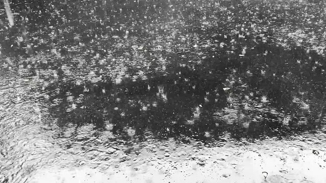 Close-up view of heavy rain falling into puddles on asphalt. Raindrops on the road for the background. Asphalt is wet due to puddles of rainwater.