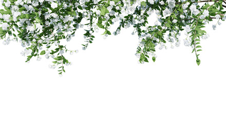 Obraz na płótnie Canvas Philadelphus Bouquet Blanc isolate transparent background.3d rendering PNG