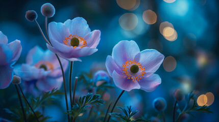 Obraz na płótnie Canvas Beautiful Anemone Flowers Abstract Background