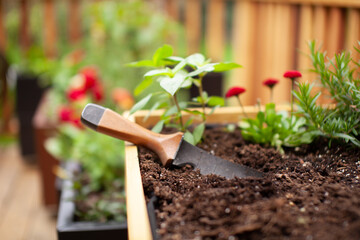 A hori-hori gardening tool can be used to help weeding, cutting roots, transplanting, removing...