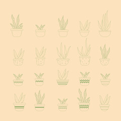 Houseplant Line Icon