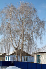 Fototapeta na wymiar Village street Znamensky village Ivanteevsky district, Saratov region Sunny winter day