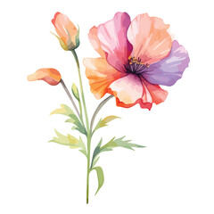 Vector watercolor painted flower - Hand-drawn illustration vector
