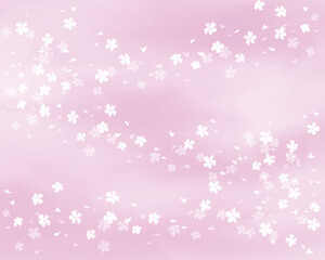 ピンク色の背景に浮かぶ桜（白シルエット）の水彩イラスト