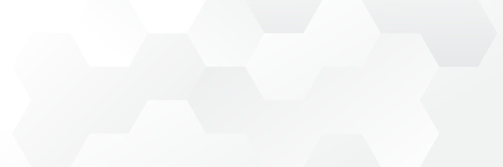Fototapeta premium Abstract white Geometric banner design background.
