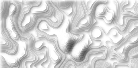 Abstract white paper cut background with lines. Background of topographic map. Abstract wavy line 3d paper cut white bg. Topographic canyon geometric map relief texture with curved layers and shadow.. - obrazy, fototapety, plakaty