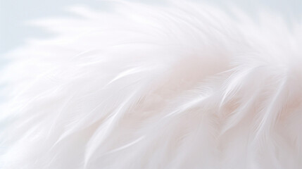 Close-up of delicate white feathers, creating a soft and airy texture with a sense of purity and serenity.