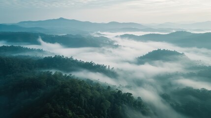 Obraz premium Fog in the morning at the mountains