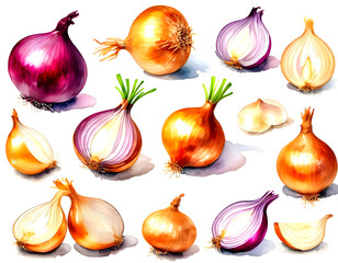 Watercolor painting of onions