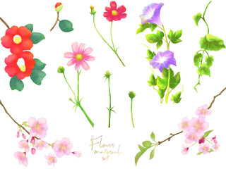 花の素材セット（季節の花）