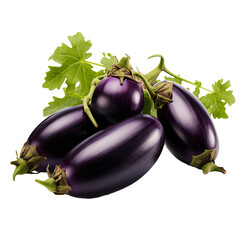 Healthy purple fruits and vegetables like eggplant isolated on transparent background