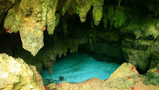 호주 크리스마스섬 절벽 사이 바닷물과 절벽에 뭍어있는 홍게들