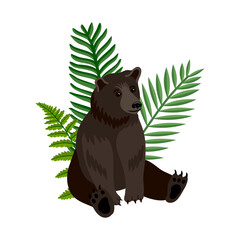 vector drawing sitting brown bear and green fern leaves, hand drawn animal isolated at white background , cartoon style character