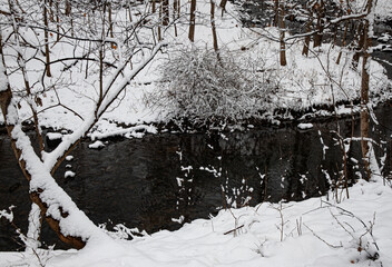 711-13 Snow Bush Creek