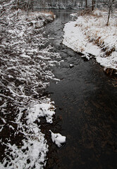 711-15 Hammel Creek Winter